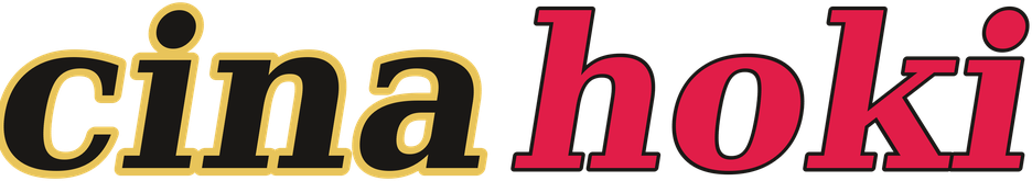 cinahoki logo